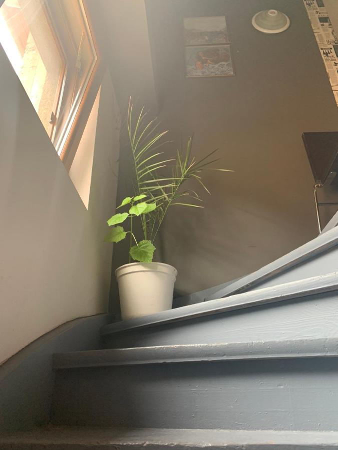 Trakia Street Apartment Φιλιππούπολη Εξωτερικό φωτογραφία